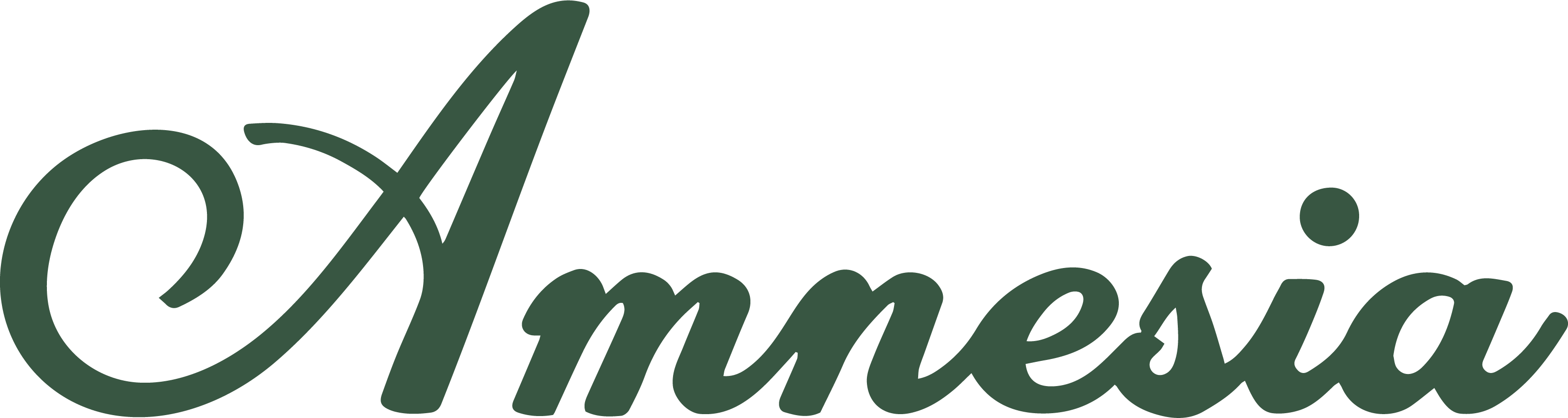 Amnesia logo