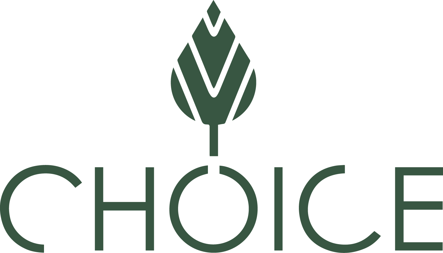 Choice Labs logo
