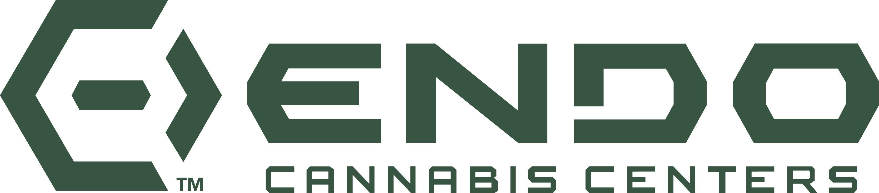 Endo logo