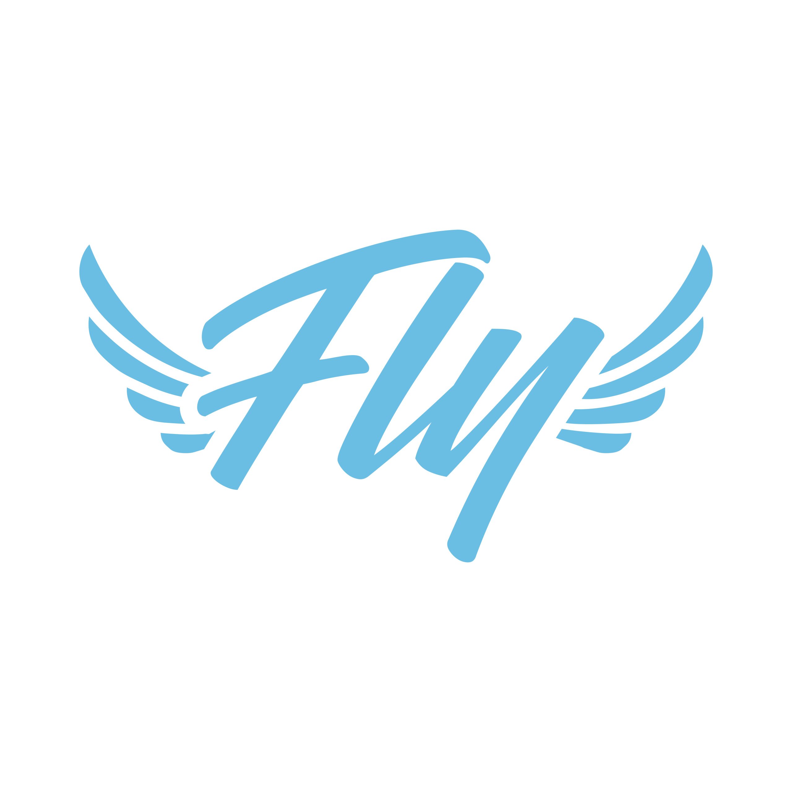 Fly logo