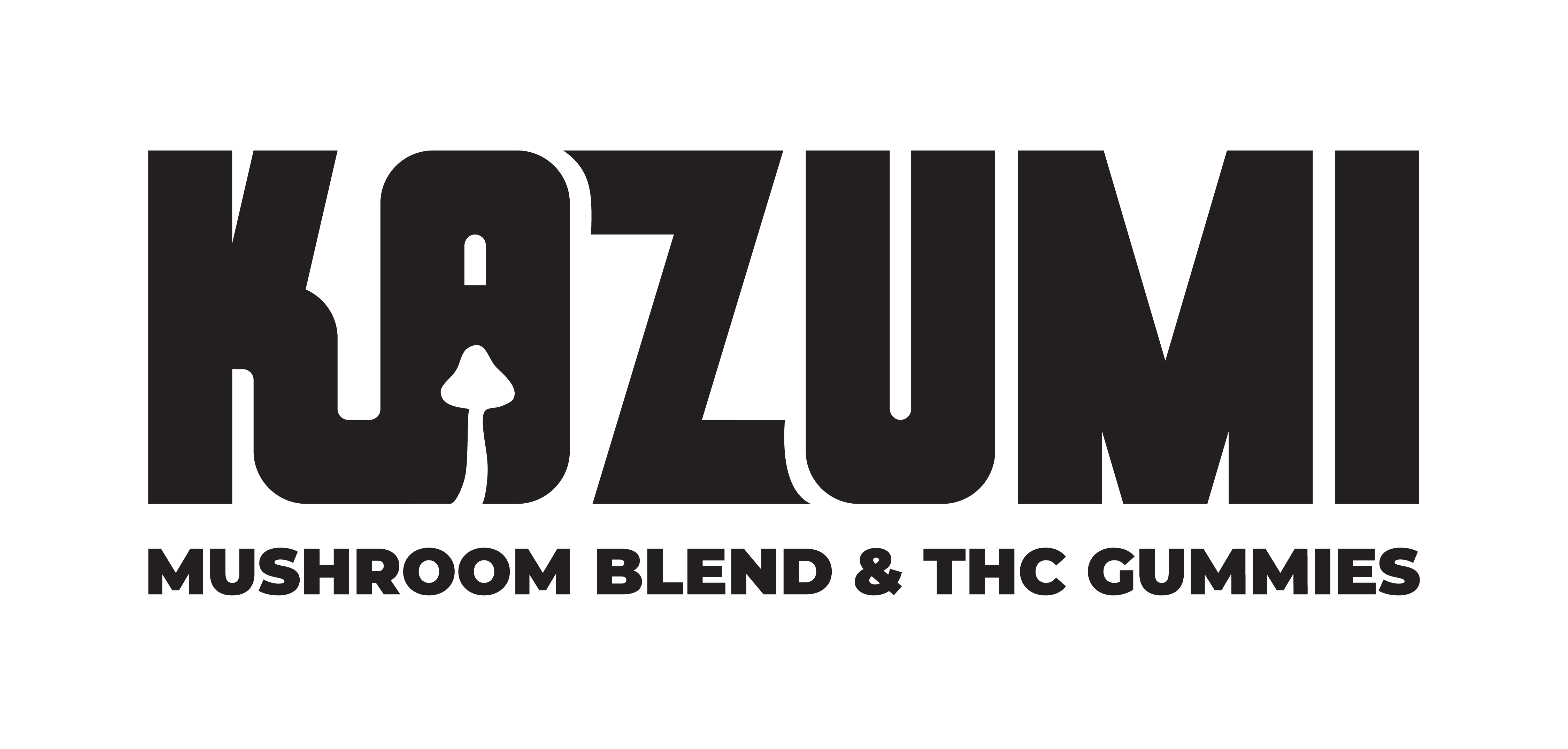 Kazumi logo