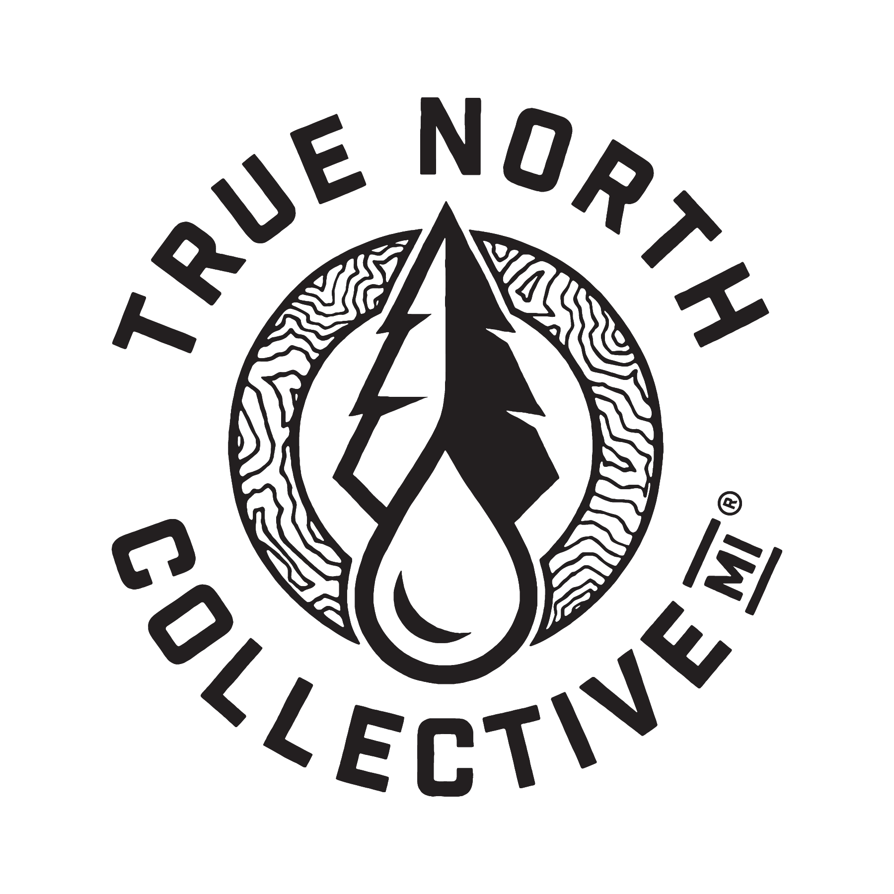 True North Collective logo