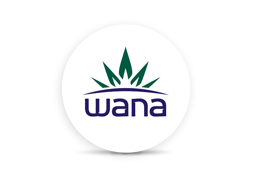 Wana Brands logo