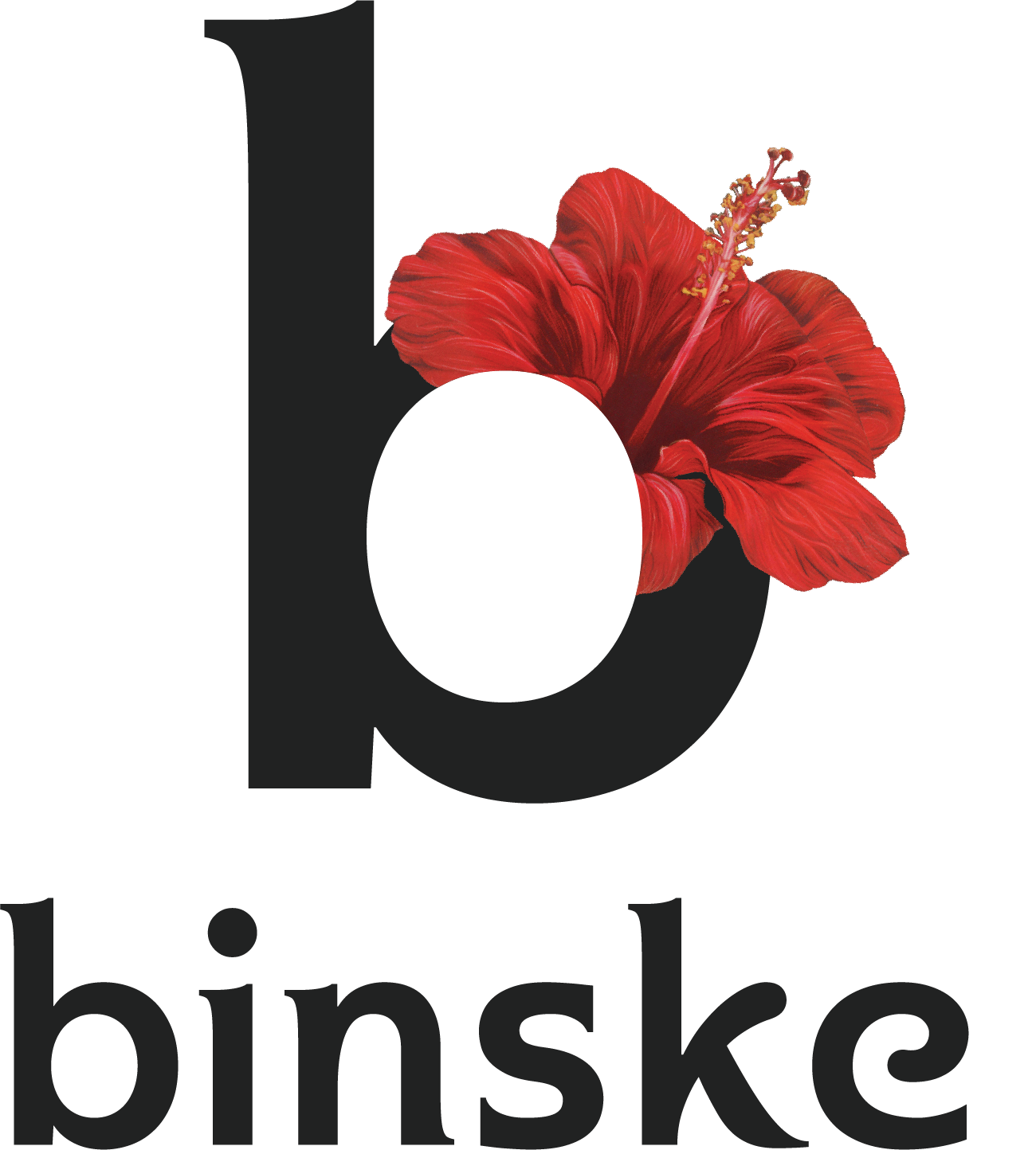 Binske logo