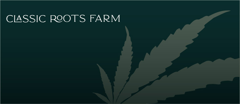 Pre-Rolls