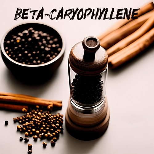 BETA CARYOPHYLLENE peppercorns terpene
