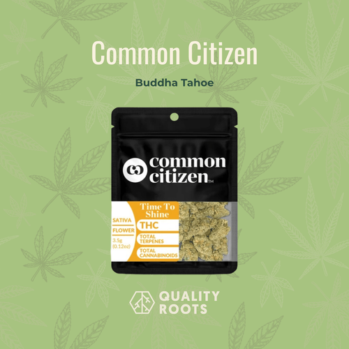 Common Citizen Budda Tahoe strain at Quality Roots 420