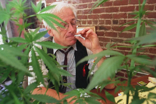 "Dennis Peron father of medical cannabis pioneer activist Quality Roots dispensary Michigan cannabis history