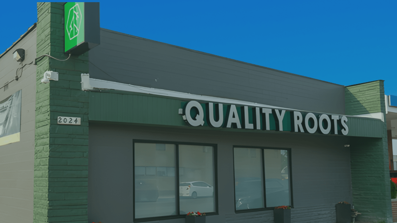 DETROIT CANNABIS DISPENSARY