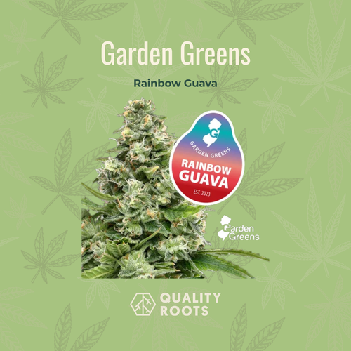 Garden Greens - Rainbow Guava 3.5g NJ Quality Roots 420 deals