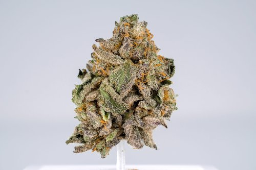 Jelly-Breath terpenes