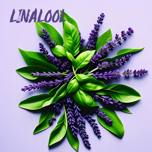 LINALOOL terpene