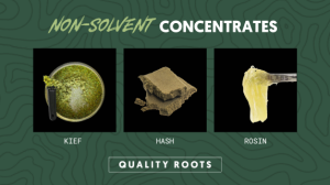 Non-solvent-concentrates-300x168.png