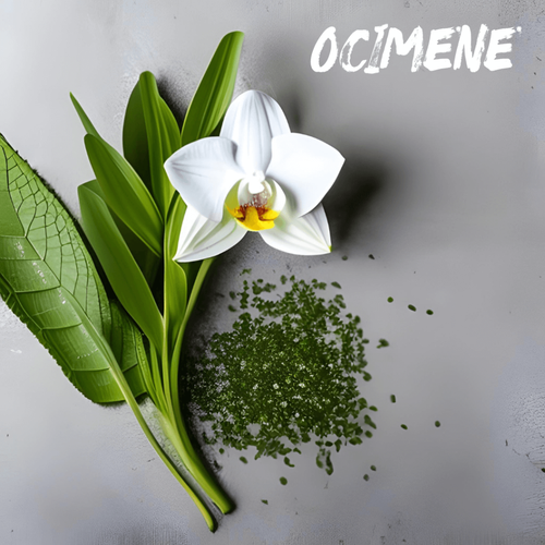 OCIMENE terpenes