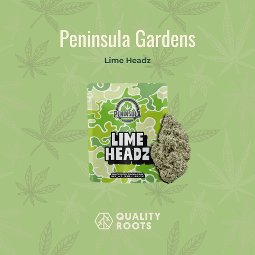 Peninsula Gardens - Lime Headz 3.5g at Quality Roots