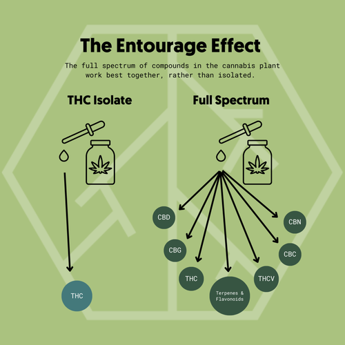 The-Entourage-Effect-Visual-5-1-1024x1024.png
