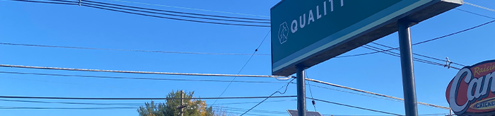 Choose Quality with Quality Roots