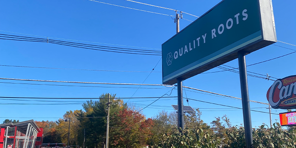 Choose Quality with Quality Roots