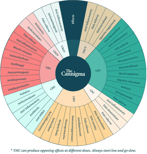 cannabinoid chart wheel