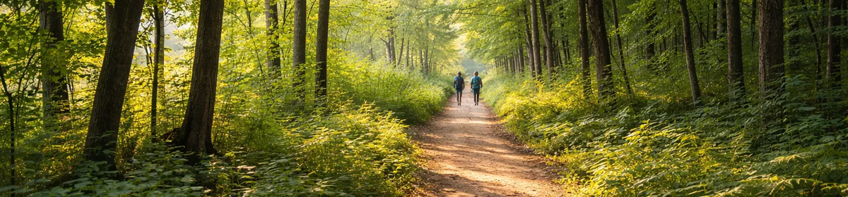 Toledo's Hidden Trails: Discovering Cool Hiking Destinations