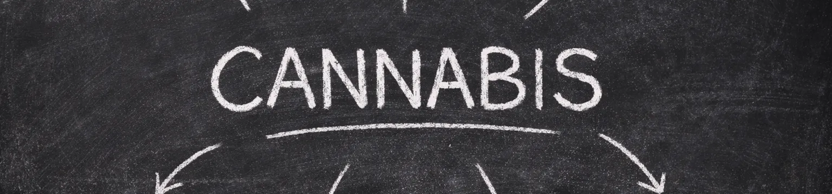 Weed, Cannabis, or Marijuana: What Should You Call It?