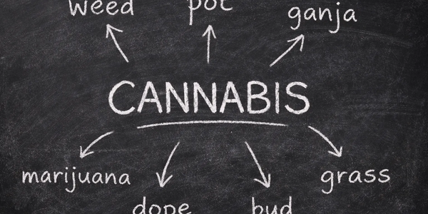 Weed, Cannabis, or Marijuana: What Should You Call It?
