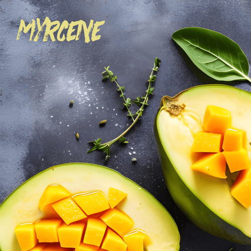 myrcene terpenes