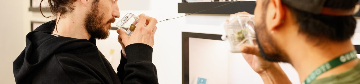 Let's Talk About Terps