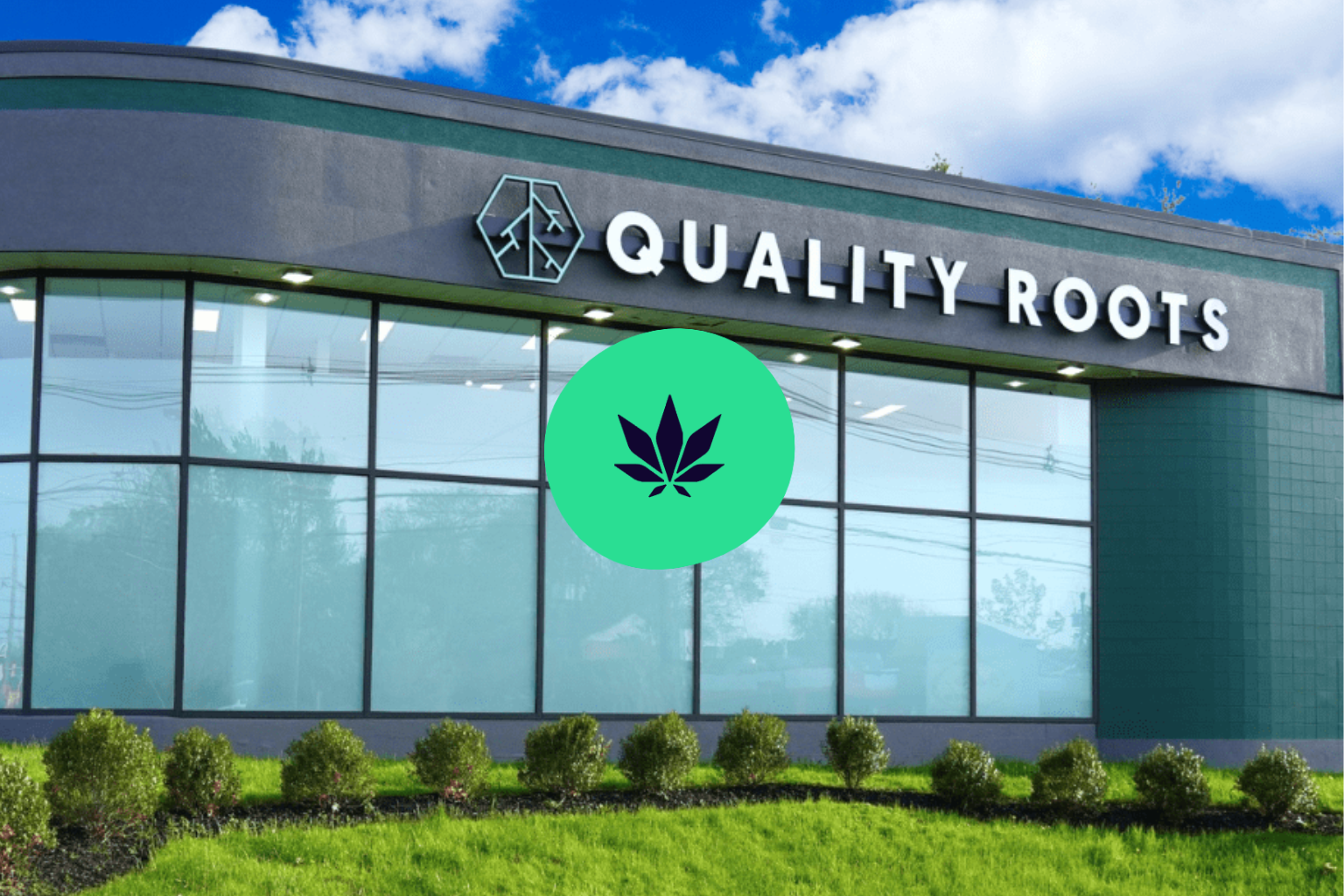 How Flowhub Helps Quality Roots Elevate the Cannabis Retail Experience