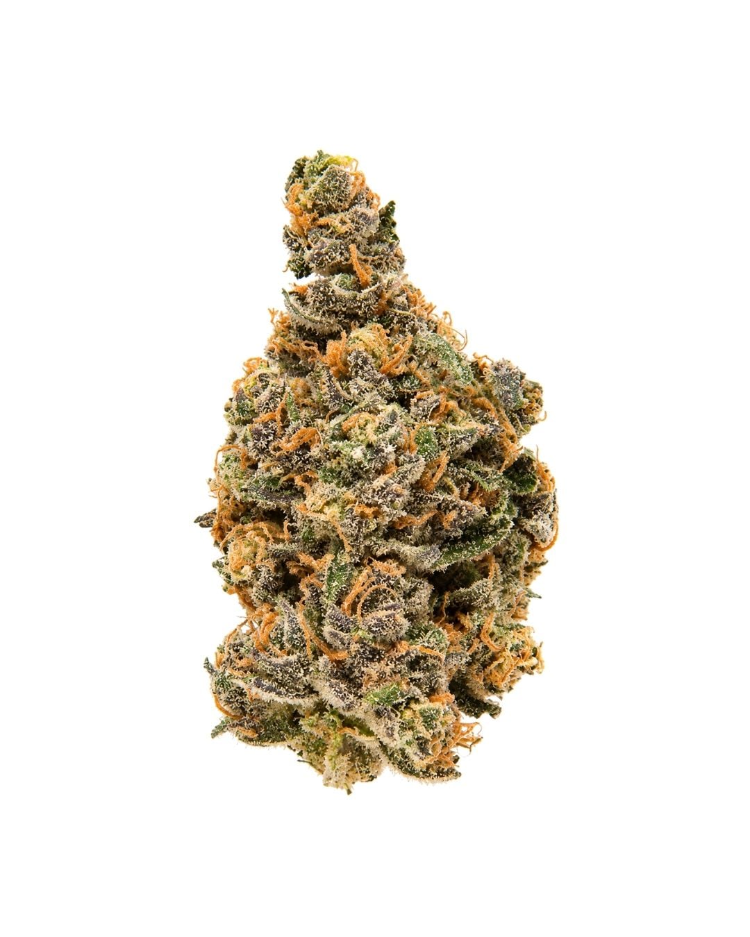 Blueberry Muffin