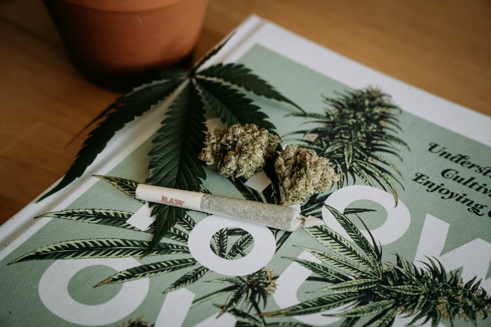 A Beginner-Friendly Guide to Cannabis