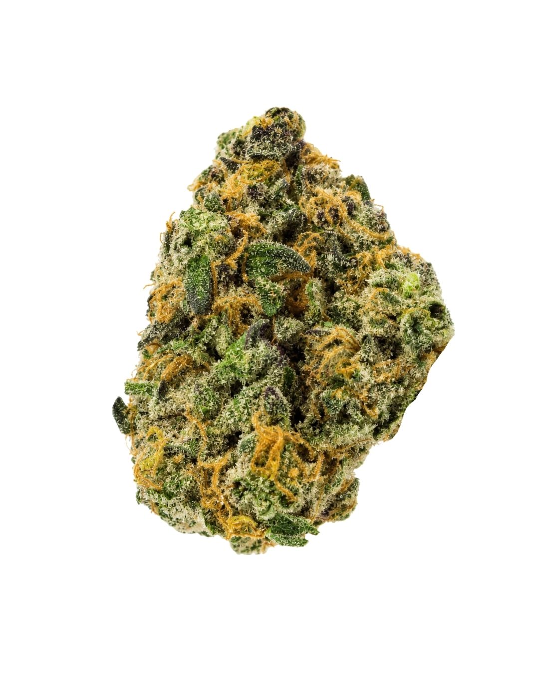 Cheddar Cheeze