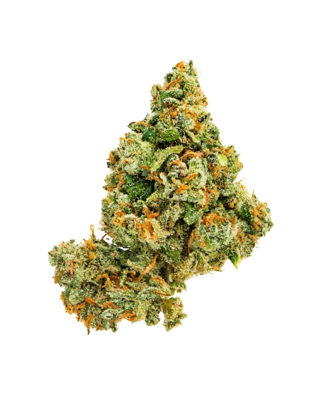 Jack Herer