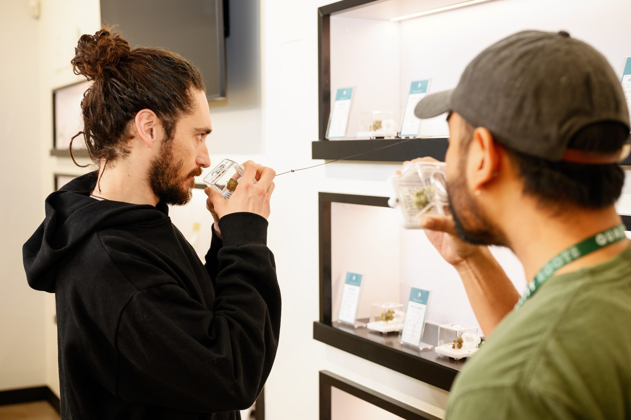 Let's Talk About Terps: All About Terpenes