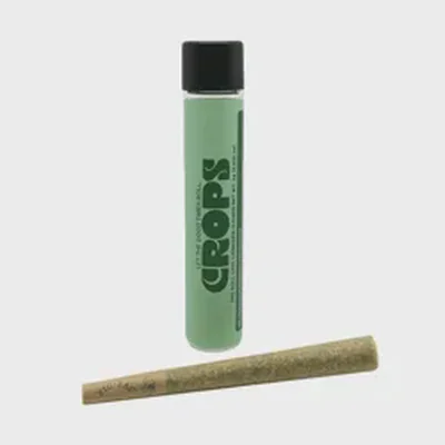 Rainbow Runtz Pre Roll