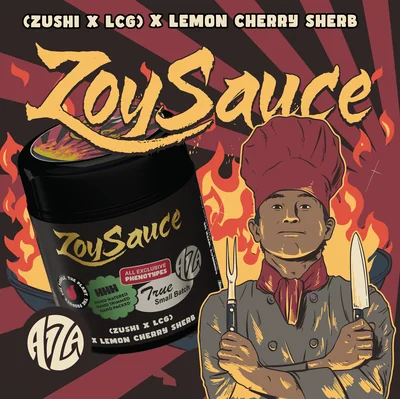 Zoy Sauce