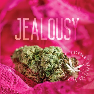 Jealousy