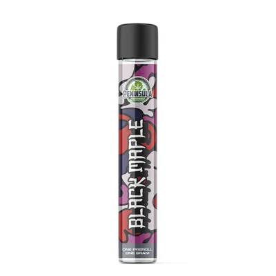 Black Maple Pre Roll