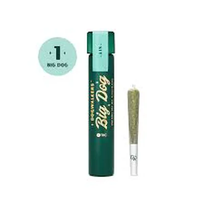 Dogwalkers Big Dogs Runtz Pre Roll