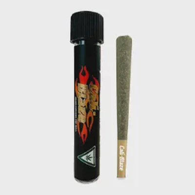 Studio 54 Pre Roll