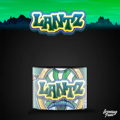 Lantz Rosin