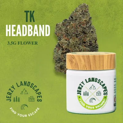 TK Headband