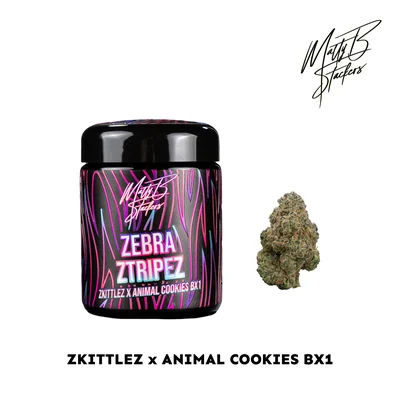 Zebra Ztripez