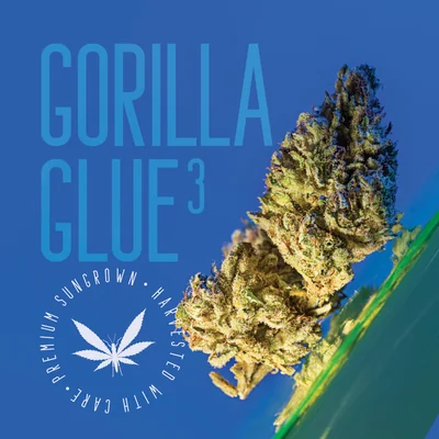 Gorilla Glue 3
