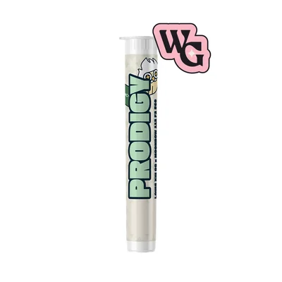 Prodigy Pre Roll