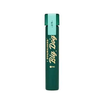 Dogwalkers Big Dogs Animal Scout #10 Pre Roll