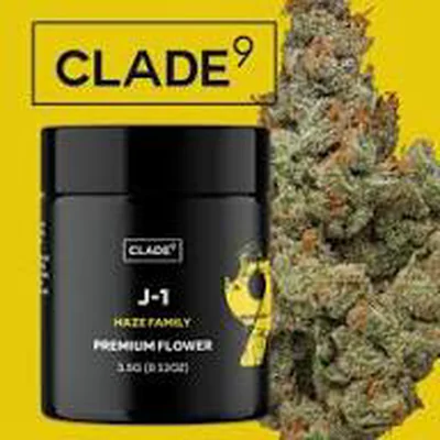 J1