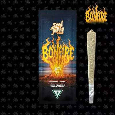 Bonfire Pre Roll