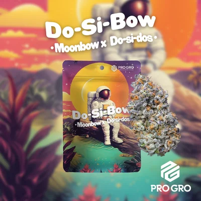 Dosibow