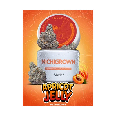 Michigrown - Apricot Jelly 3.5g